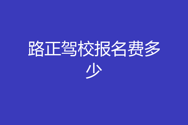 路正驾校报名费多少