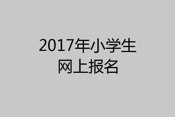 2017年小学生网上报名