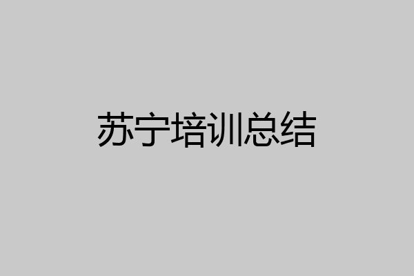 苏宁培训总结