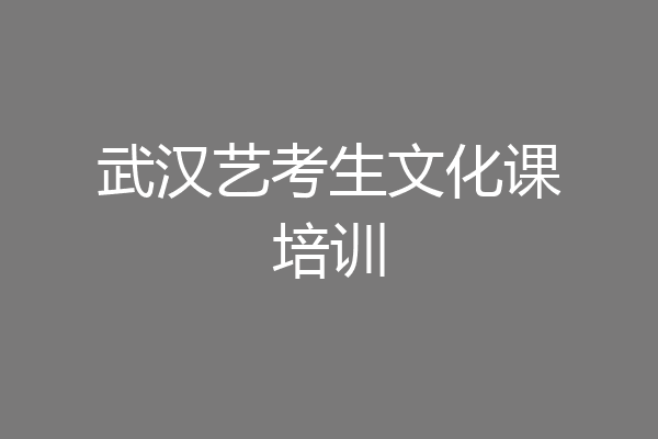 武汉艺考生文化课培训