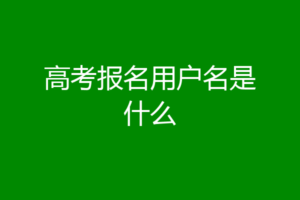 高考报名用户名是什么