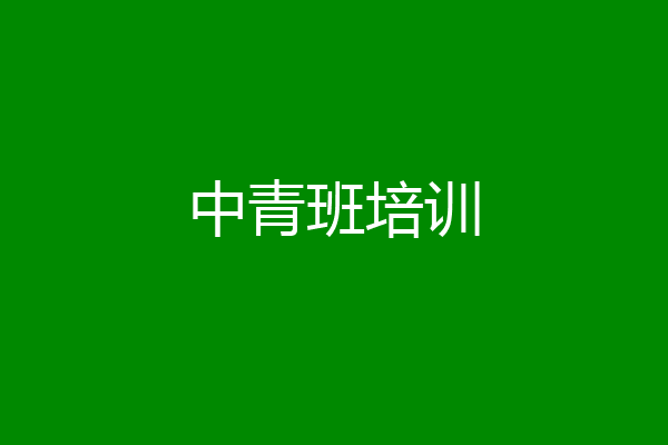 中青班培训