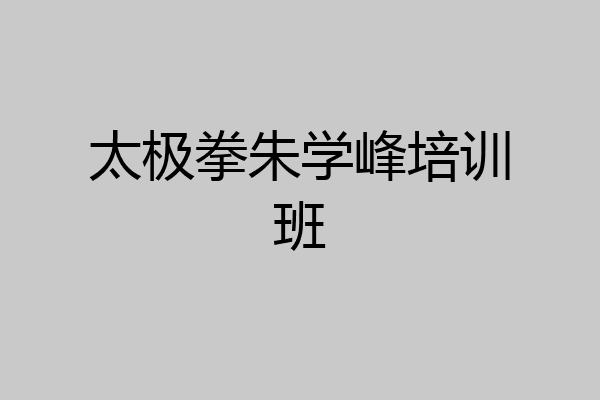 太极拳朱学峰培训班