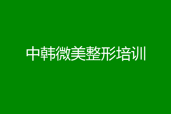 中韩微美整形培训