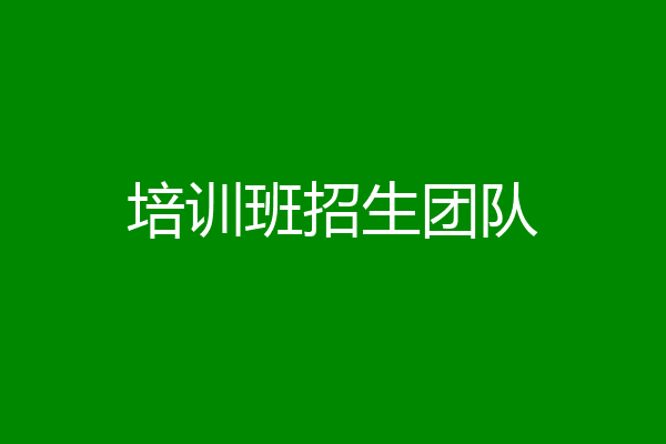 培训班招生团队
