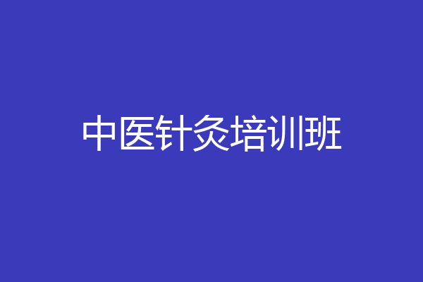 中医针灸培训班