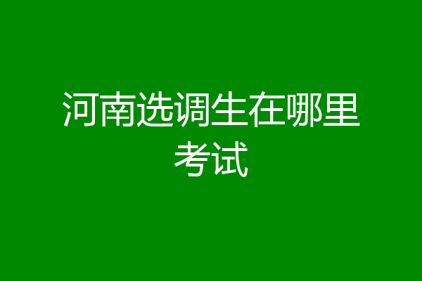 河南选调生在哪里考试
