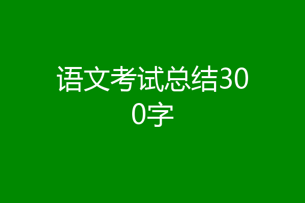 语文考试总结300字