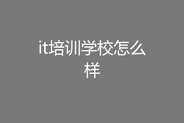 it培训学校怎么样