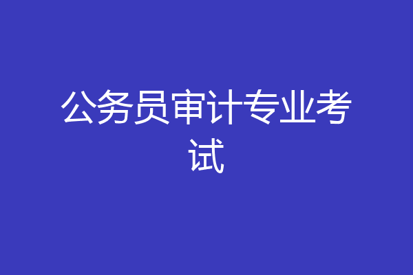 公务员审计专业考试