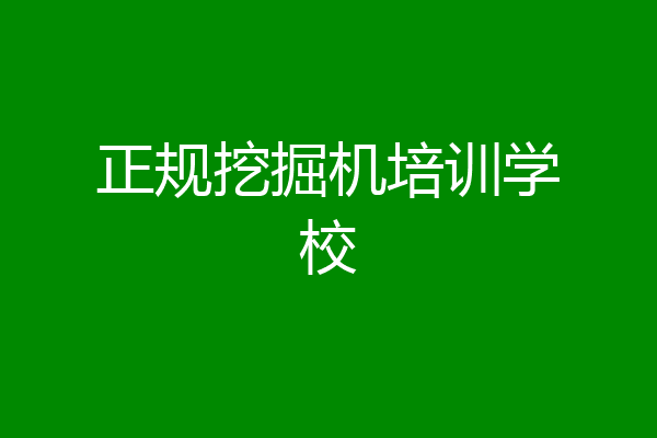正规挖掘机培训学校