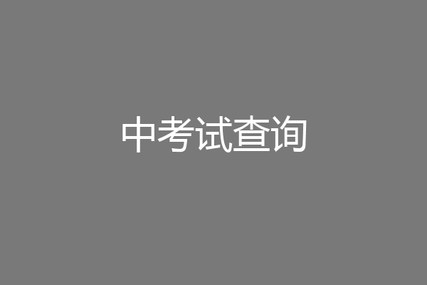 中考试查询