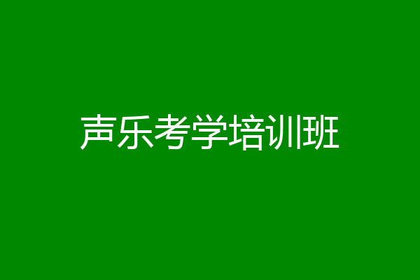 声乐考学培训班