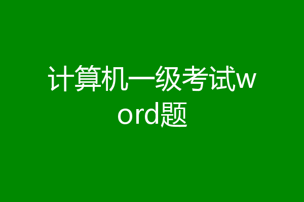 计算机一级考试word题
