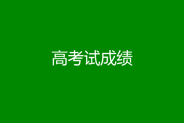 高考试成绩