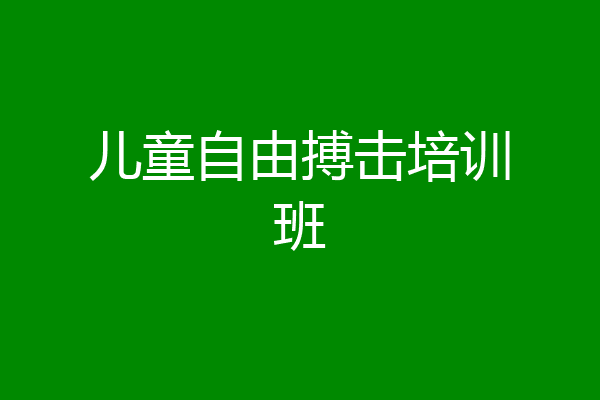 儿童自由搏击培训班