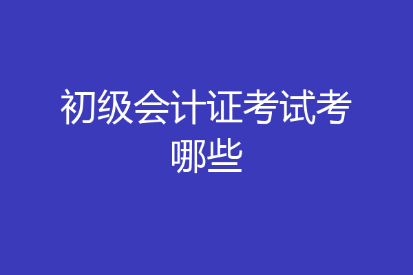 初级会计证考试考哪些