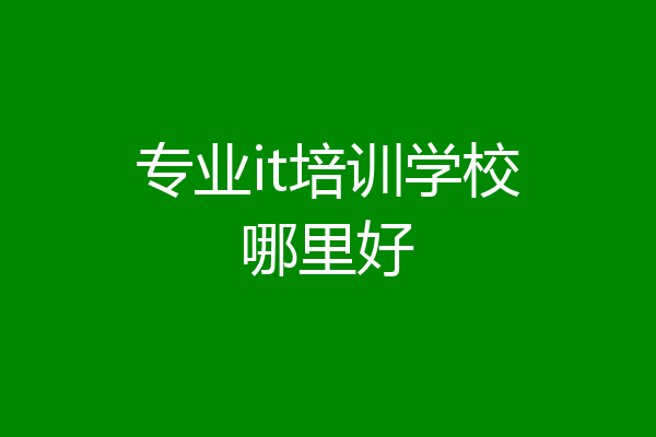 专业it培训学校哪里好