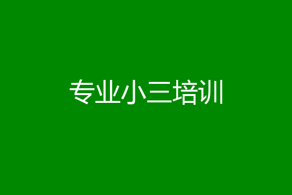 专业小三培训