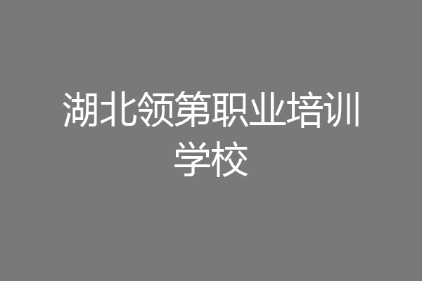 湖北领第职业培训学校