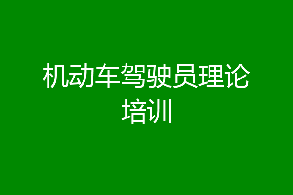 机动车驾驶员理论培训