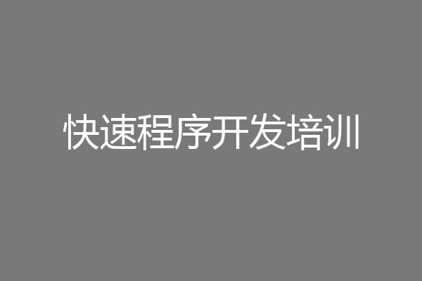 快速程序开发培训