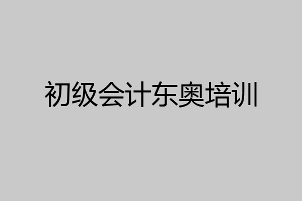 初级会计东奥培训