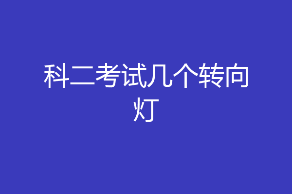 科二考试几个转向灯