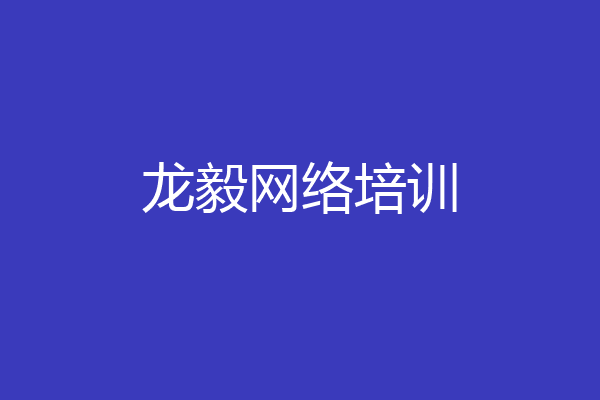 龙毅网络培训