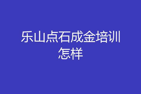 乐山点石成金培训怎样