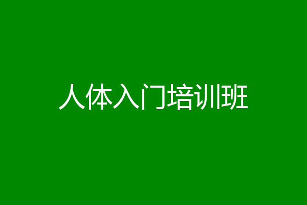 人体入门培训班