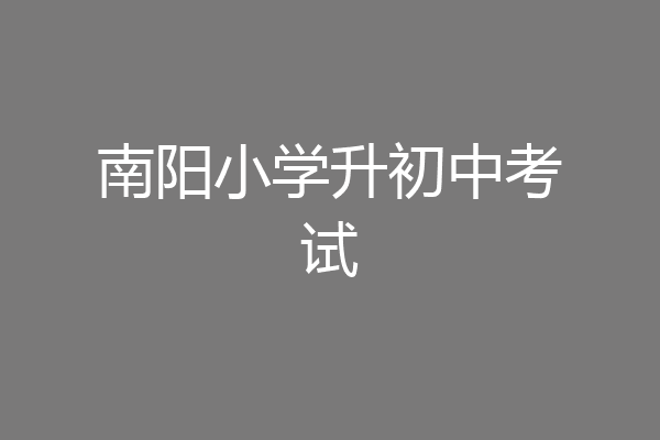 南阳小学升初中考试