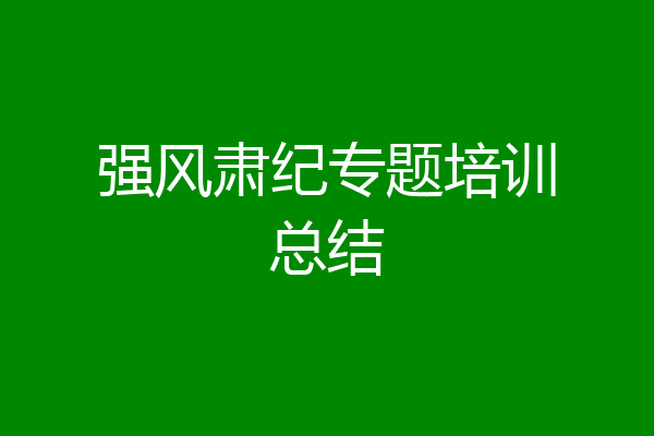 强风肃纪专题培训总结