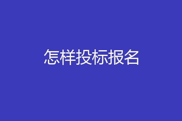 怎样投标报名