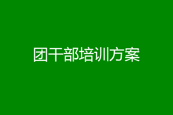 团干部培训方案