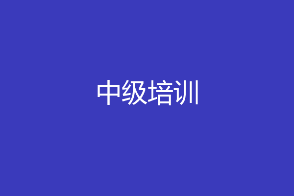 中级培训