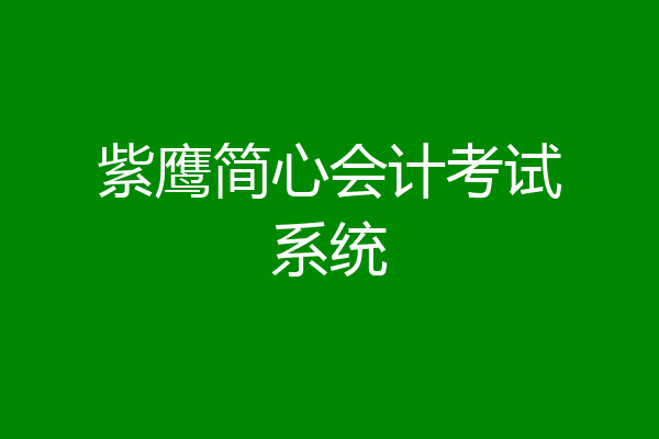 紫鹰简心会计考试系统