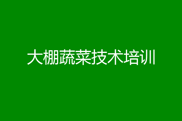 大棚蔬菜技术培训