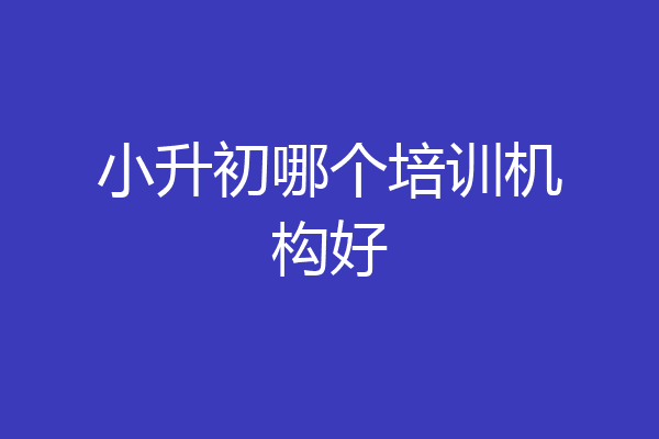 小升初哪个培训机构好