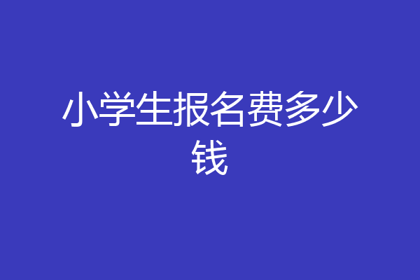 小学生报名费多少钱