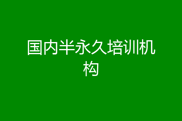 国内半永久培训机构