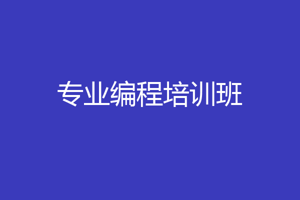 专业编程培训班