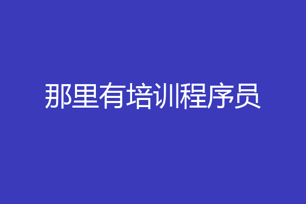 那里有培训程序员