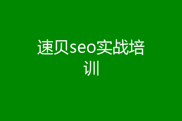 速贝seo实战培训