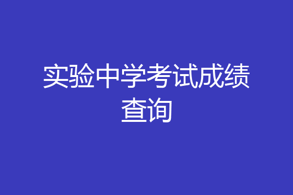 实验中学考试成绩查询