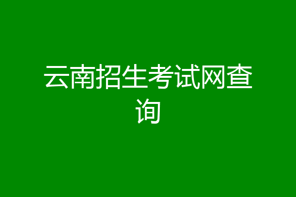 云南招生考试网查询