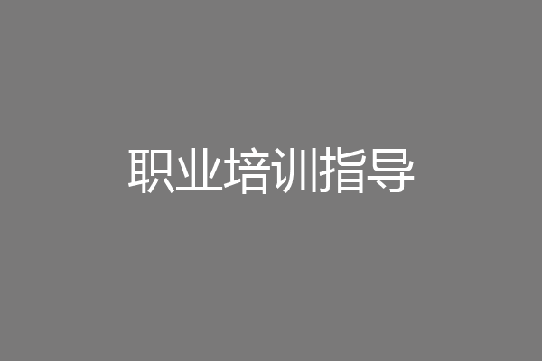 职业培训指导