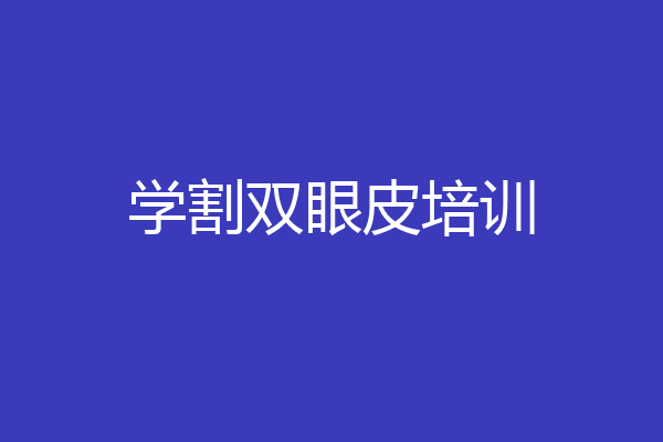 学割双眼皮培训