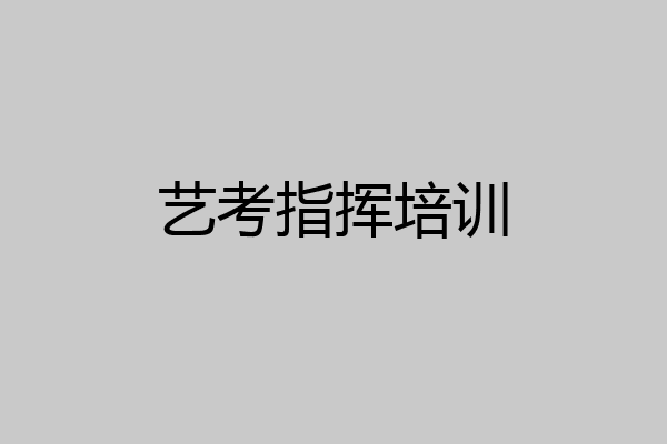 艺考指挥培训