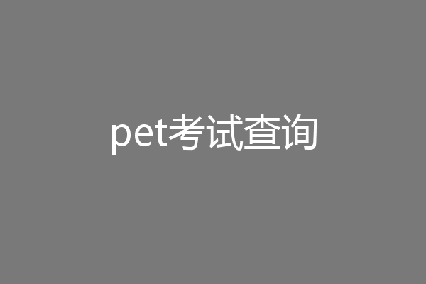 pet考试查询